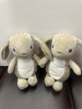 Small rabbit with scar