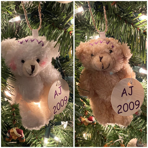 2022 Cranio Care Bears Ornaments
