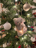 2022 Cranio Care Bears Ornaments