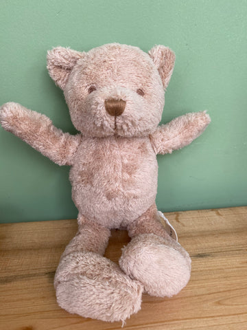 Medium bear with scar
